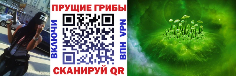 продажа наркотиков  Западная Двина  Псилоцибиновые грибы Psilocybe 